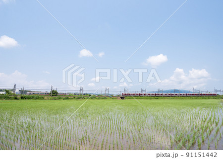 【近鉄名古屋線】田園地帯で交差する列車 91151442