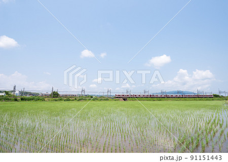 【近鉄名古屋線】田園地帯で交差する列車 91151443