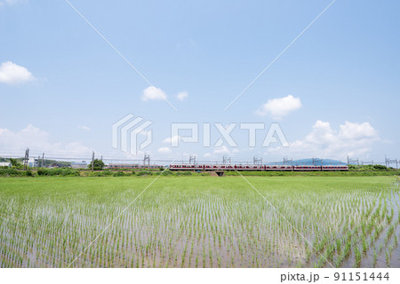 【近鉄名古屋線】田園地帯で交差する列車 91151444