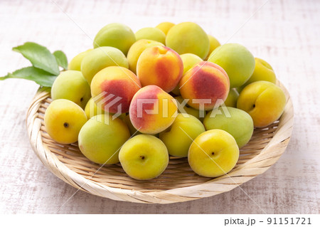 南高梅 南高梅 91151721