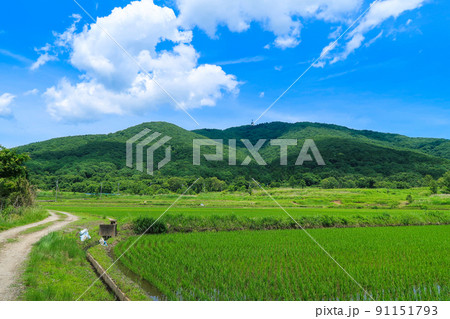 【茨城県つくば市】宝篋山と青空の自然風景 91151793