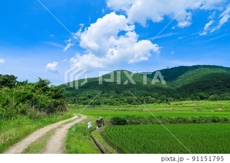 【茨城県つくば市】宝篋山と青空の自然風景 【茨城県つくば市】宝篋山と青空の自然風景 91151795