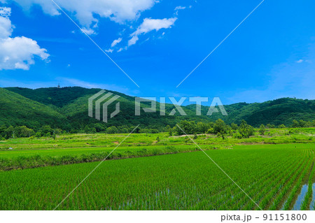 【茨城県つくば市】宝篋山と青空の自然風景 91151800