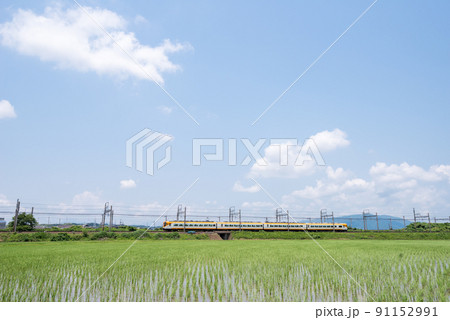 【近鉄名古屋線】田園地帯を走る特急列車 【近鉄名古屋線】田園地帯を走る特急列車 91152991
