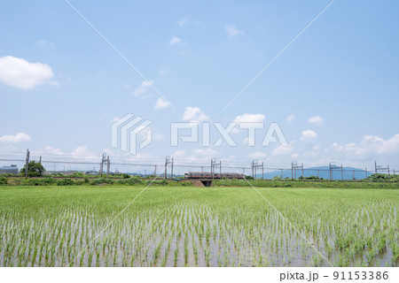 【関西本線】田園地帯で交差する列車 91153386