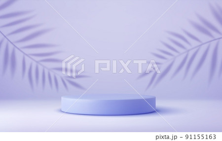 product podium and tropical palm leaves product podium and tropical palm leaves 91155163