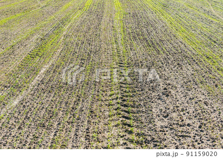 Plowed land of the dry field at sunset. 91159020