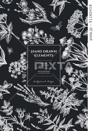 Tea herbs pattern card design. Hand drawn chamomile, chicory, cinnamon rose, etc. Tea herbs pattern card design. Hand drawn chamomile, chicory, cinnamon rose, etc. 91160458