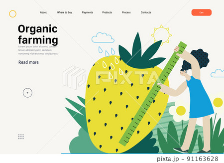 Ecology - Organic farming -Modern flat vector concept illustration of ecology metaphor, woman measuring a giant strawberry. Creative landing web page template Ecology - Organic farming -Modern flat vector concept illustration of ecology metaphor, woman measuring a giant strawberry. Creative landing web page template 91163628
