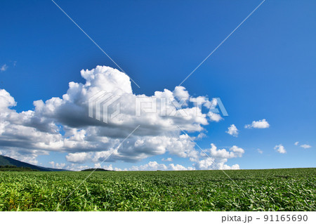 北海道の空 北海道の空 91165690