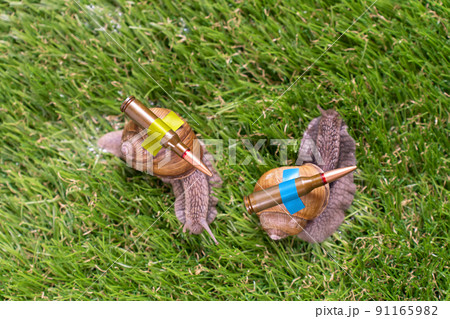 Ukrainian battle snails with lend-lease armor on mission 91165982