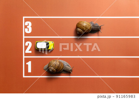 Joke competition of snails on stadium tracks 91165983