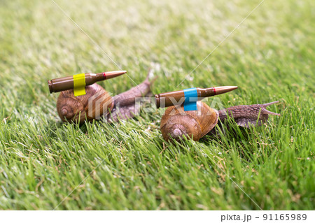 Ukrainian battle snails with lend-lease armor on mission 91165989