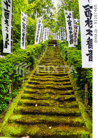神奈川県鎌倉市 杉本寺 ∼苔の石段~ 神奈川県鎌倉市 杉本寺 ∼苔の石段~ 91167460