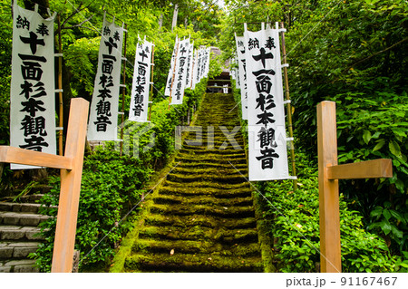 神奈川県鎌倉市 杉本寺　∼苔の石段～ 91167467