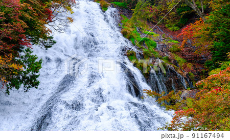 湯滝(秋) 湯滝(秋) 91167494