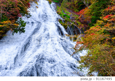 湯滝（秋） 91167495