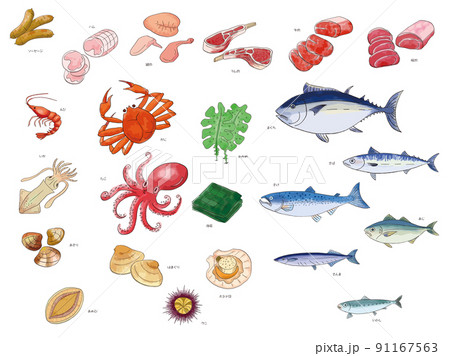 食材～肉と魚介～ 91167563