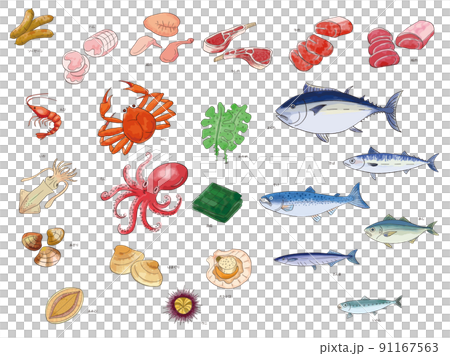 食材～肉と魚介～ 91167563