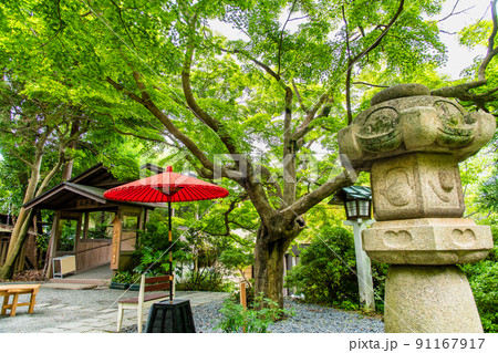 神奈川県鎌倉市 鎌倉宮　～青もみじが映える境内～ 91167917