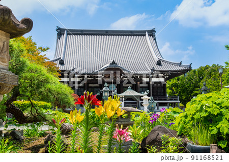 神奈川県鎌倉市 本覚寺 ~本殿と境内に咲く花~ 神奈川県鎌倉市 本覚寺 ~本殿と境内に咲く花~ 91168521