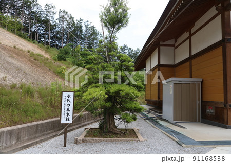 飯盛神社 流鏑馬 夫婦杉 飯盛中宮社 みかえり松 飯盛神社 流鏑馬 夫婦杉 飯盛中宮社 みかえり松 91168538