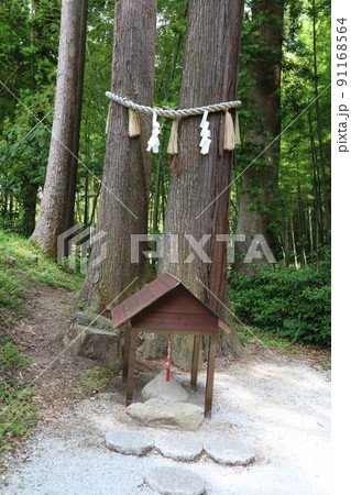 飯盛神社 流鏑馬 夫婦杉 飯盛中宮社 みかえり松 飯盛神社 流鏑馬 夫婦杉 飯盛中宮社 みかえり松 91168564