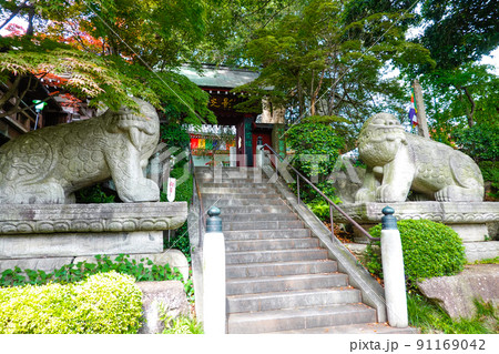 善養寺山門と狛犬 91169042