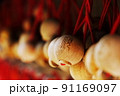 おみくじ 91169097