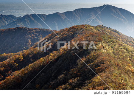 丹沢・塔ノ岳から見る紅葉の表尾根と大山 91169694
