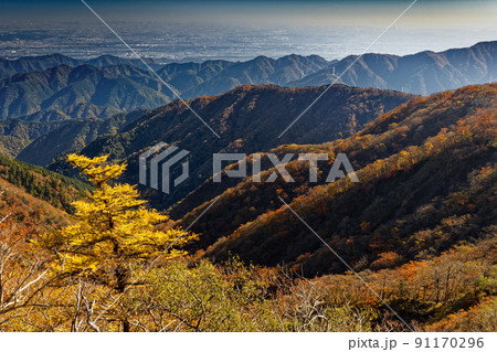 丹沢・塔ノ岳から見る関東平野の眺め 丹沢・塔ノ岳から見る関東平野の眺め 91170296