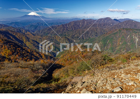 丹沢・塔ノ岳から紅葉の山並みと富士山 丹沢・塔ノ岳から紅葉の山並みと富士山 91170449