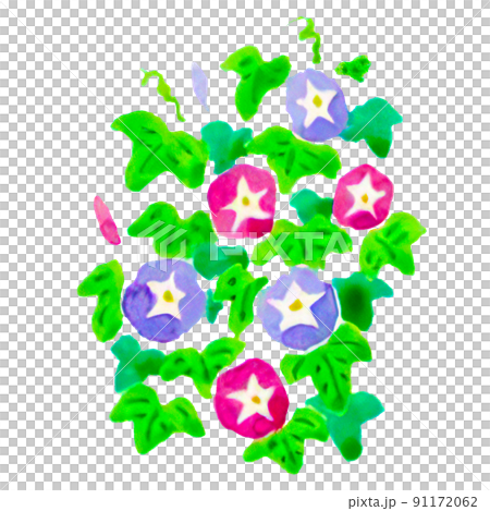 A simple hand-painted, watercolor-style morning glory illustration that can be used for summer greetings, etc. 91172062