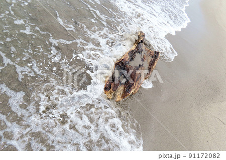 流木 91172082