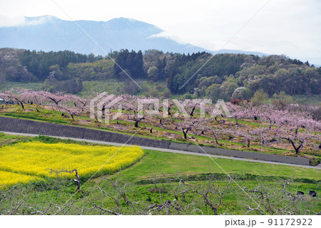 【長野県飯綱町】丹霞郷 91172922