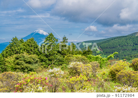 （静岡県）ツツジ咲く初夏の十国峠　富士山の眺望 91172984