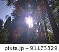 HAPPY山の放射状の光 91173329
