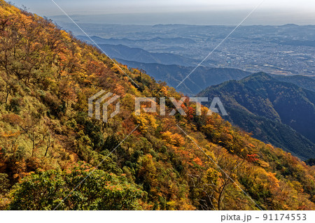 丹沢・鍋割山稜から見る紅葉の山並みと秦野市街・湘南の海 91174553