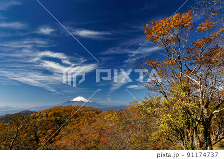 紅葉の丹沢・鍋割山と富士山 91174737