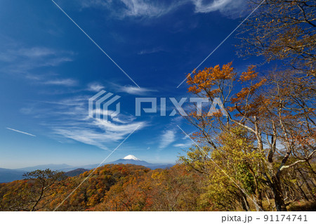 紅葉の丹沢・鍋割山と富士山 91174741