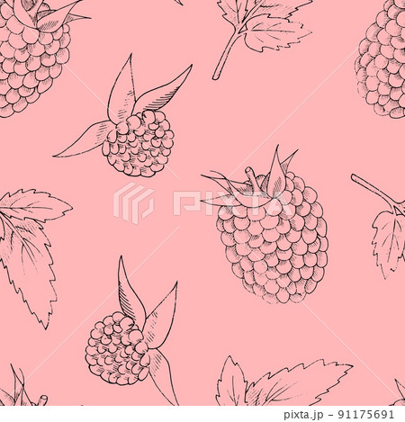 Raspberry seamless pattern. Isolated on a pink background. For design. 91175691