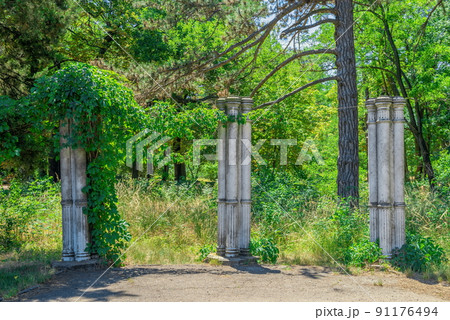 Old park in Chkalov sanatorium in Odessa, Ukraine Old park in Chkalov sanatorium in Odessa, Ukraine 91176494