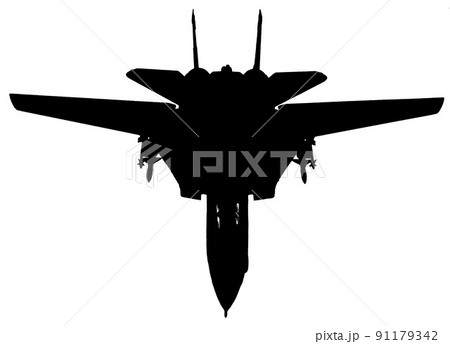 F-14A トムキャット  可変前進翼 91179342