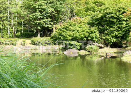 びわこ文化公園の初夏の風景 91180066