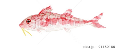 オジサン　左向き 91180180