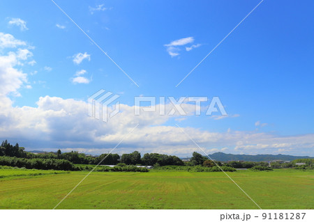 畑　青空　雲　樹木 91181287