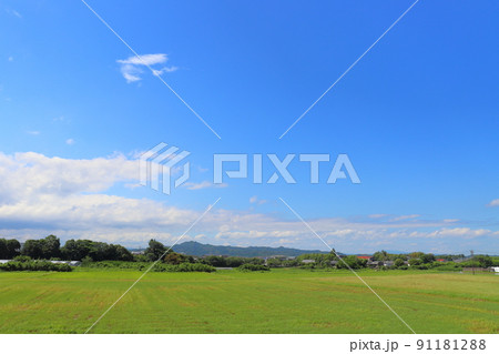 畑　青空　雲　樹木 91181288