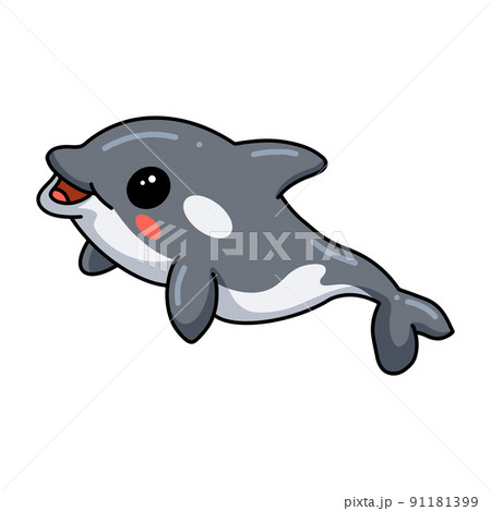 Cute little killer whale cartoon	 91181399