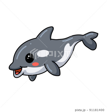 Cute little killer whale cartoon Cute little killer whale cartoon 91181400