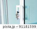 Key ring plugged into the glass door. 91181599